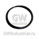 Seal - O-Ring - Inj - Tube — M-3007759 - 