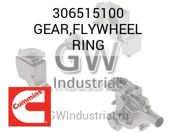 GEAR,FLYWHEEL RING — 306515100