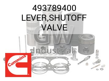 LEVER,SHUTOFF VALVE — 493789400