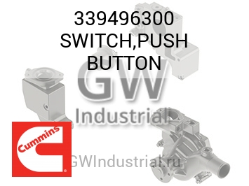 SWITCH,PUSH BUTTON — 339496300
