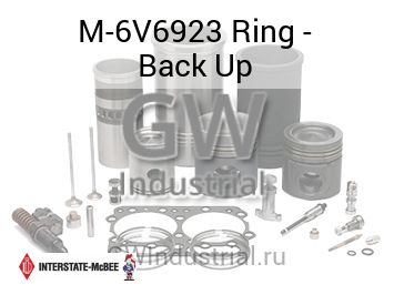 Ring - Back Up — M-6V6923