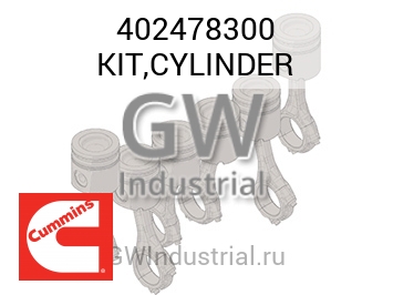 KIT,CYLINDER — 402478300