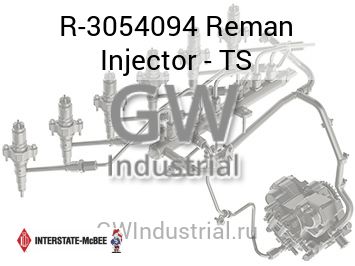 Reman Injector - TS — R-3054094