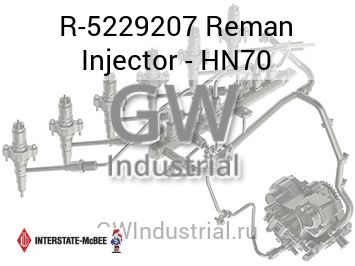Reman Injector - HN70 — R-5229207