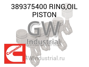 RING,OIL PISTON — 389375400