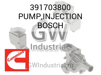 PUMP,INJECTION BOSCH — 391703800
