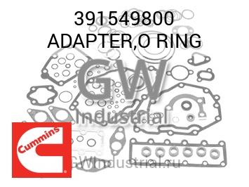 ADAPTER,O RING — 391549800
