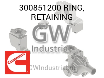 СТОПОРНОЕ КОЛЬЦО