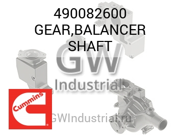 GEAR,BALANCER SHAFT — 490082600