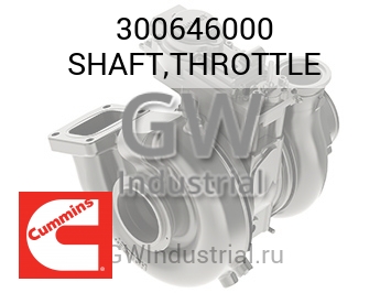 SHAFT,THROTTLE — 300646000