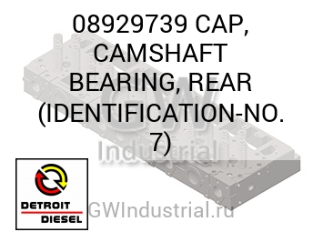 ВКЛАДЫШ РАСПРЕДВАЛА (КОЛПАЧОК ЗАДН.) IDENTIFICATION  7