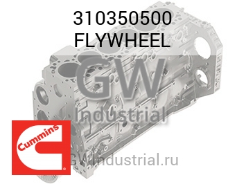 FLYWHEEL — 310350500