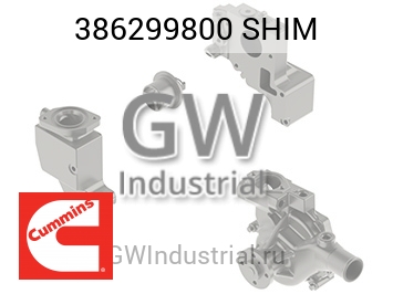 SHIM — 386299800