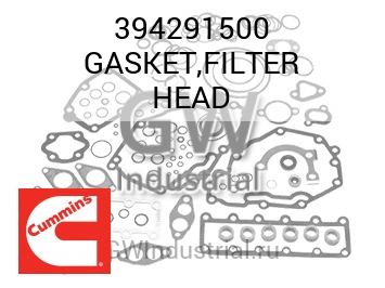 GASKET,FILTER HEAD — 394291500