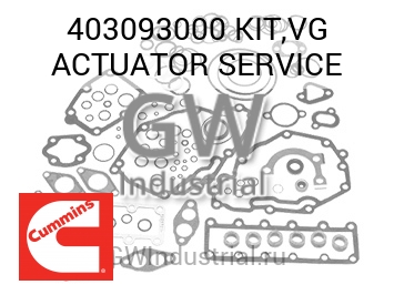 СЕРВИСНЫЙ КОМПЛЕКТ VG ACTUATOR