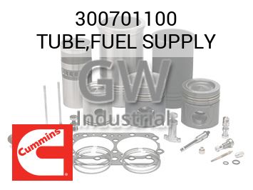 TUBE,FUEL SUPPLY — 300701100