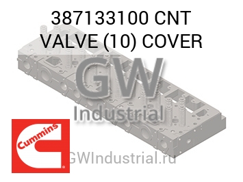 CNT VALVE (10) COVER — 387133100