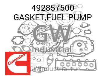 GASKET,FUEL PUMP — 492857500