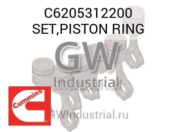 SET,PISTON RING — C6205312200