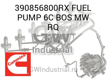 FUEL PUMP 6C BOS MW RQ — 390856800RX