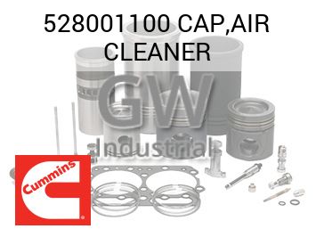CAP,AIR CLEANER — 528001100
