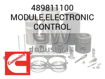 MODULE,ELECTRONIC CONTROL — 489811100