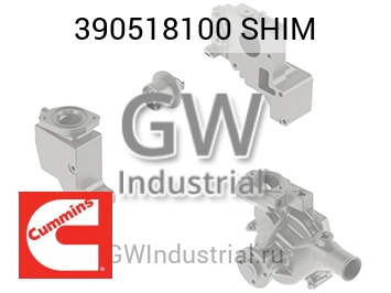 SHIM — 390518100