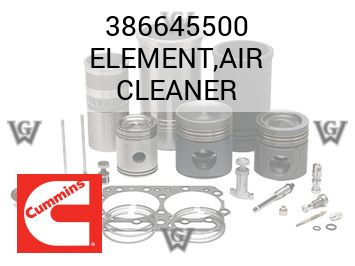 ELEMENT,AIR CLEANER — 386645500