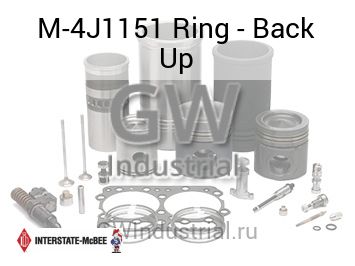 Ring - Back Up — M-4J1151