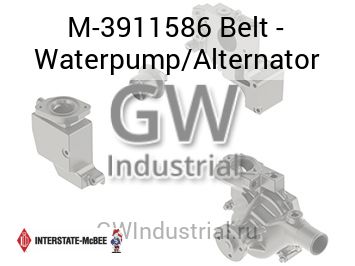Belt - Waterpump/Alternator — M-3911586