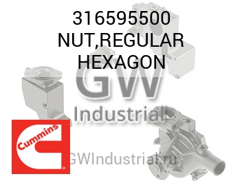 NUT,REGULAR HEXAGON — 316595500