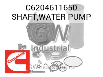 SHAFT,WATER PUMP — C6204611650