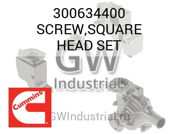 SCREW,SQUARE HEAD SET — 300634400