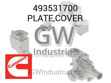 PLATE,COVER — 493531700