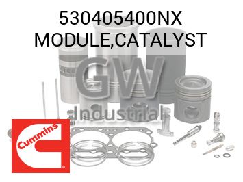 MODULE,CATALYST — 530405400NX