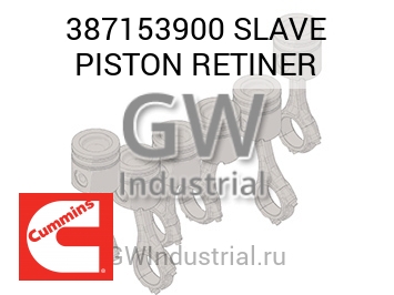 SLAVE PISTON RETINER — 387153900