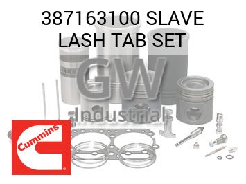 SLAVE LASH TAB SET — 387163100