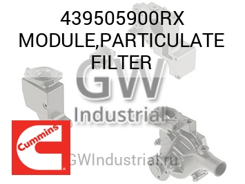 MODULE,PARTICULATE FILTER — 439505900RX
