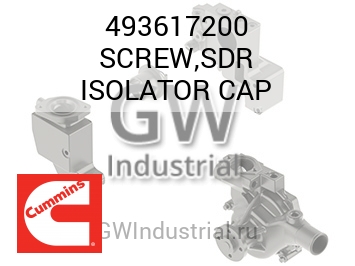 SCREW,SDR ISOLATOR CAP — 493617200