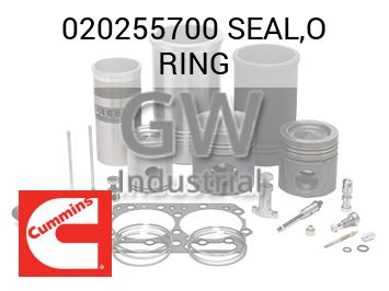 SEAL,O RING — 020255700