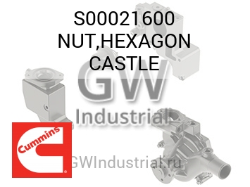 NUT,HEXAGON CASTLE — S00021600
