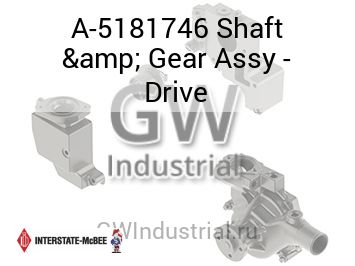 Shaft & Gear Assy - Drive — A-5181746