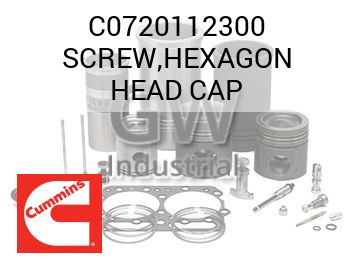 SCREW,HEXAGON HEAD CAP — C0720112300