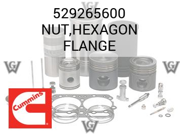 NUT,HEXAGON FLANGE — 529265600