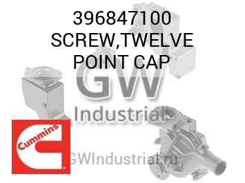 SCREW,TWELVE POINT CAP — 396847100