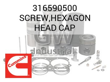 SCREW,HEXAGON HEAD CAP — 316590500