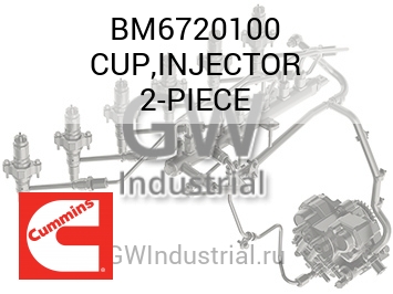 CUP,INJECTOR 2-PIECE — BM6720100