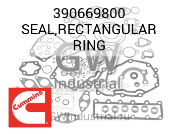 SEAL,RECTANGULAR RING — 390669800