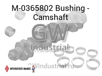 Bushing - Camshaft — M-0365802