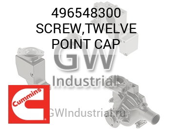 SCREW,TWELVE POINT CAP — 496548300